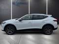CUPRA Formentor 2.0 TDI LED*Navi*AHK*Sitzh.*Kamera* Weiß - thumbnail 6