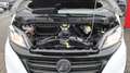 Hymer/Eriba YOSEMITE Wit - thumbnail 12