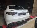 Alfa Romeo Giulia 2.9 T Quadrifoglio 510 Blanco - thumbnail 19