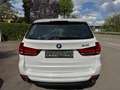 BMW X5 30 D xDrive 30 d Weiß - thumbnail 14