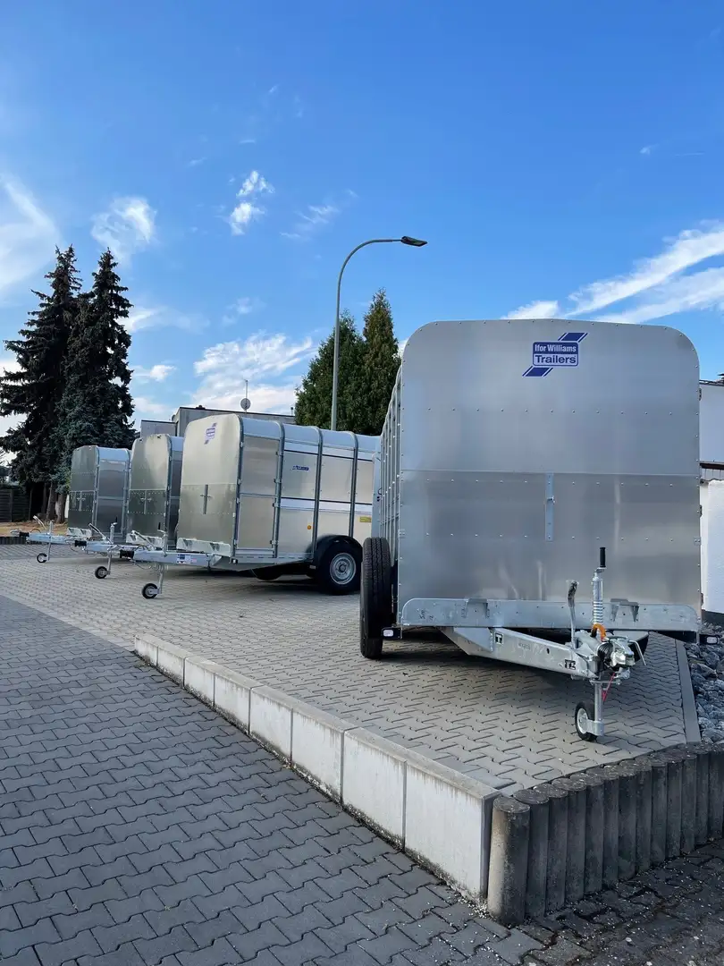 Ifor Williams TA510G (Viehanhänger) - Sofort verfügbar! - 1