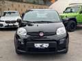 Fiat Panda 1.0 FireFly S&S Hybrid City Life *PROMO 119€* Nero - thumbnail 2