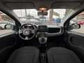 Fiat Panda 1.0 FireFly S&S Hybrid City Life *PROMO 119€* Nero - thumbnail 13