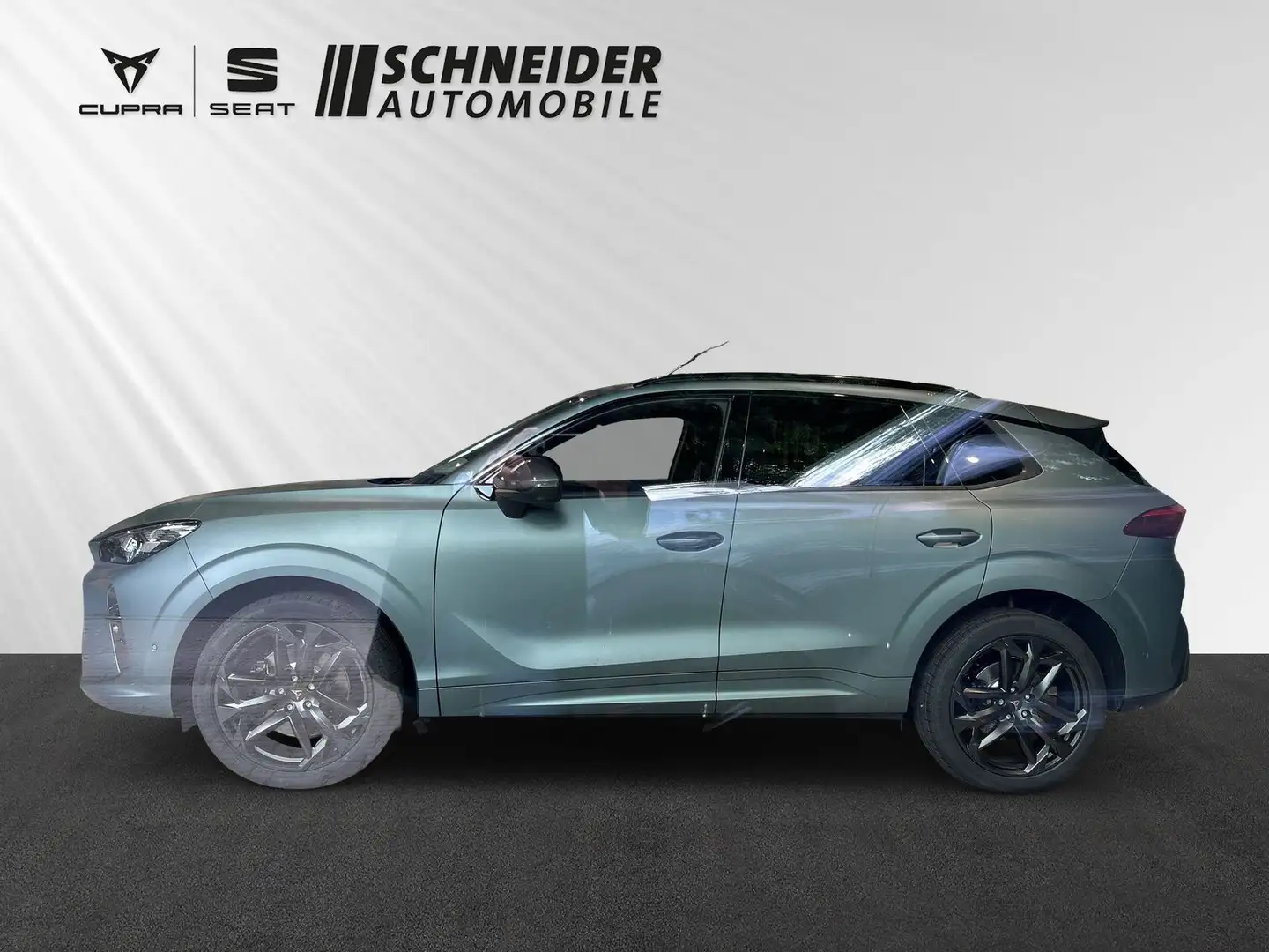CUPRA Terramar 2.0 TSI America's Cup Limited Edition Gris - 2