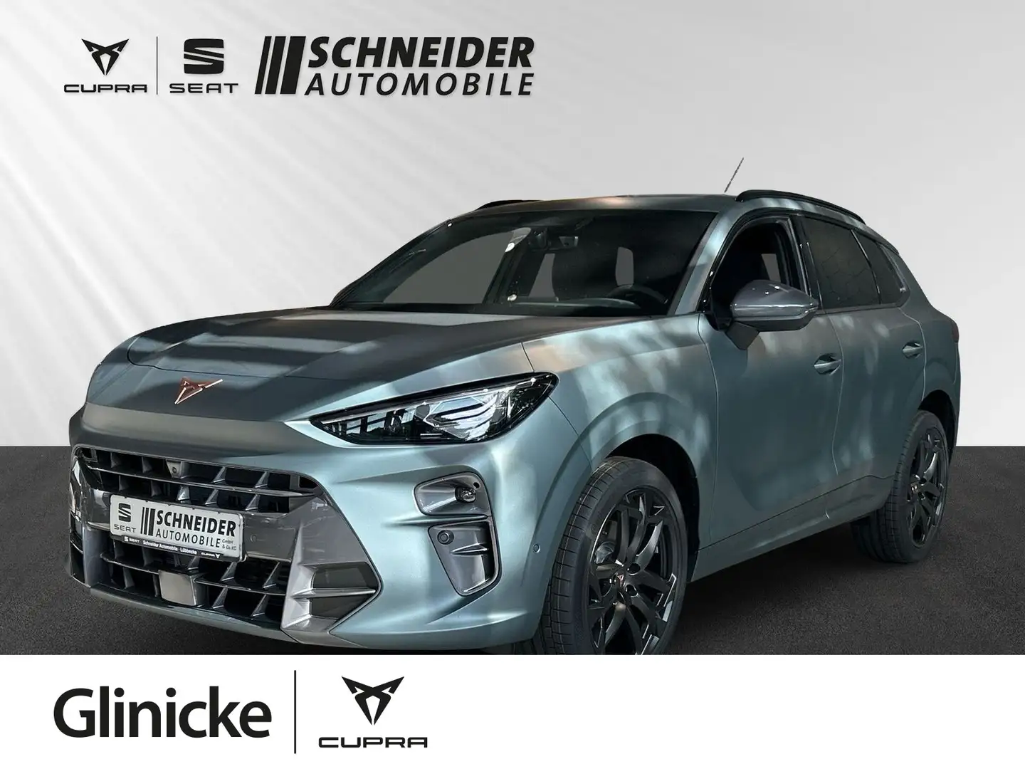 CUPRA Terramar 2.0 TSI America's Cup Limited Edition Gris - 1