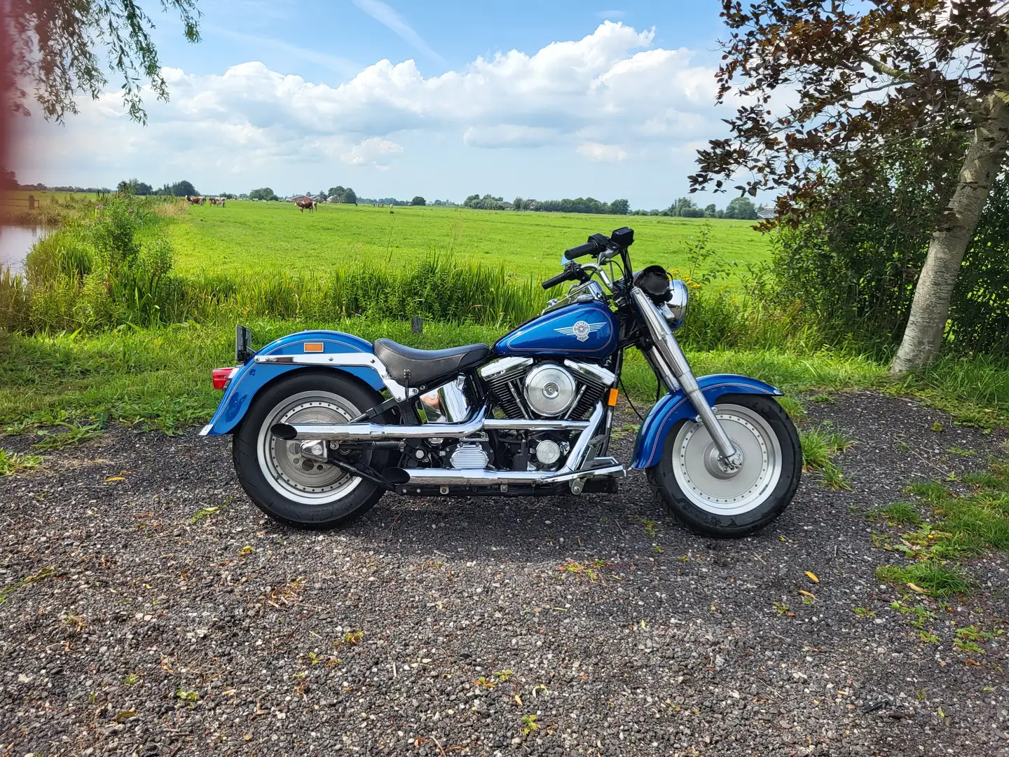 Harley-Davidson Fat Boy Kék - 1