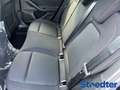 Ford Focus ST-Line 1.0 HUD Navi ACC Apple CarPlay And Zwart - thumbnail 5