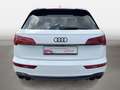 Audi SQ5 3.0 TDI quattro tiptronic Matrx-LED Kamera Weiß - thumbnail 4