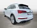 Audi SQ5 3.0 TDI quattro tiptronic Matrx-LED Kamera Weiß - thumbnail 3