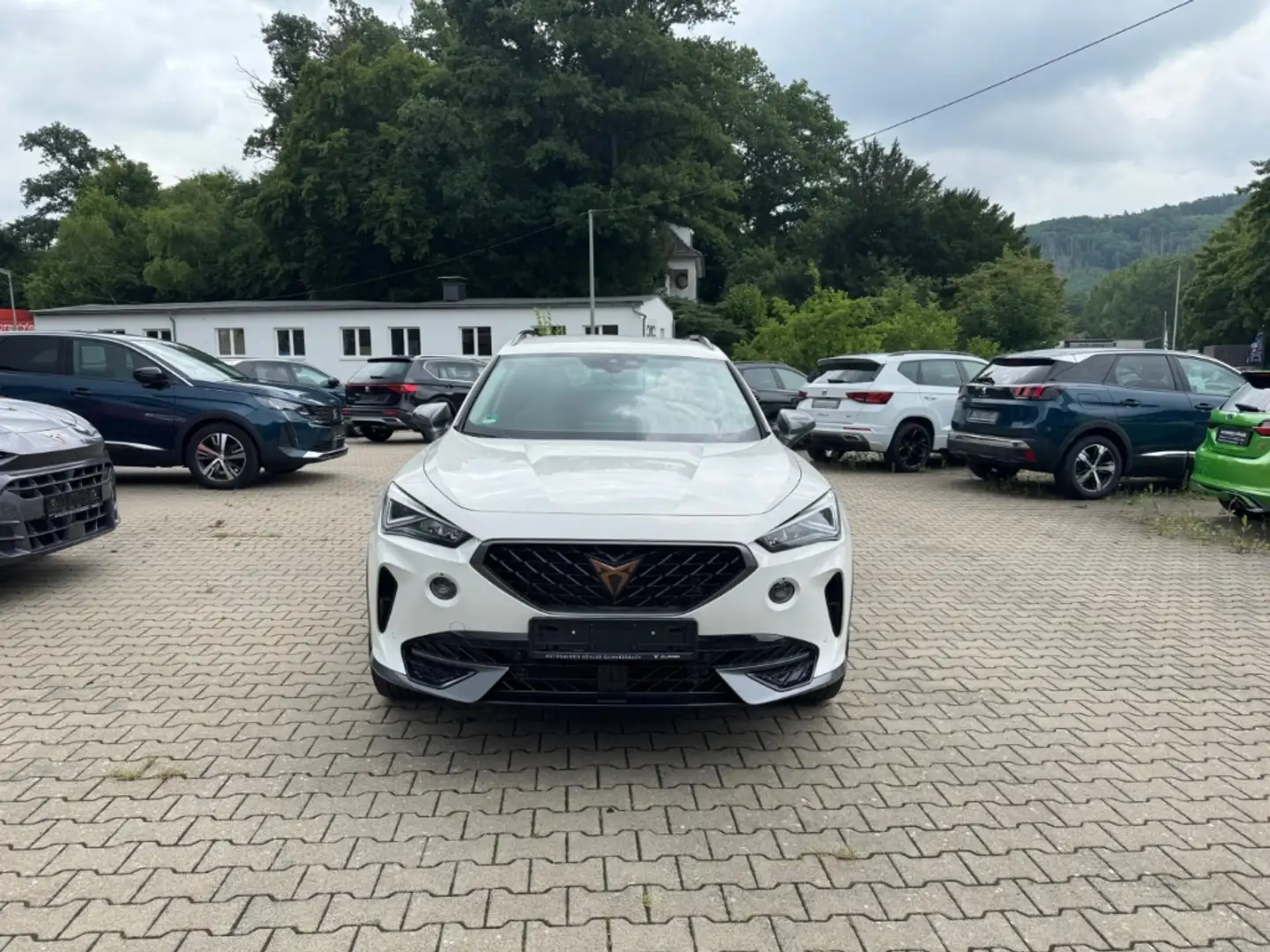 CUPRA Formentor 1.5 TSI 7-Gang DSG Rückfahrkamera Sitzheizung Weiß - 2