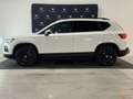 SEAT Ateca 2.0 TDI 4DRIVE DSG Business Bianco - thumbnail 5