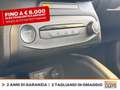 Ford Focus active 1.0t ecoboost h 125cv Nero - thumbnail 25