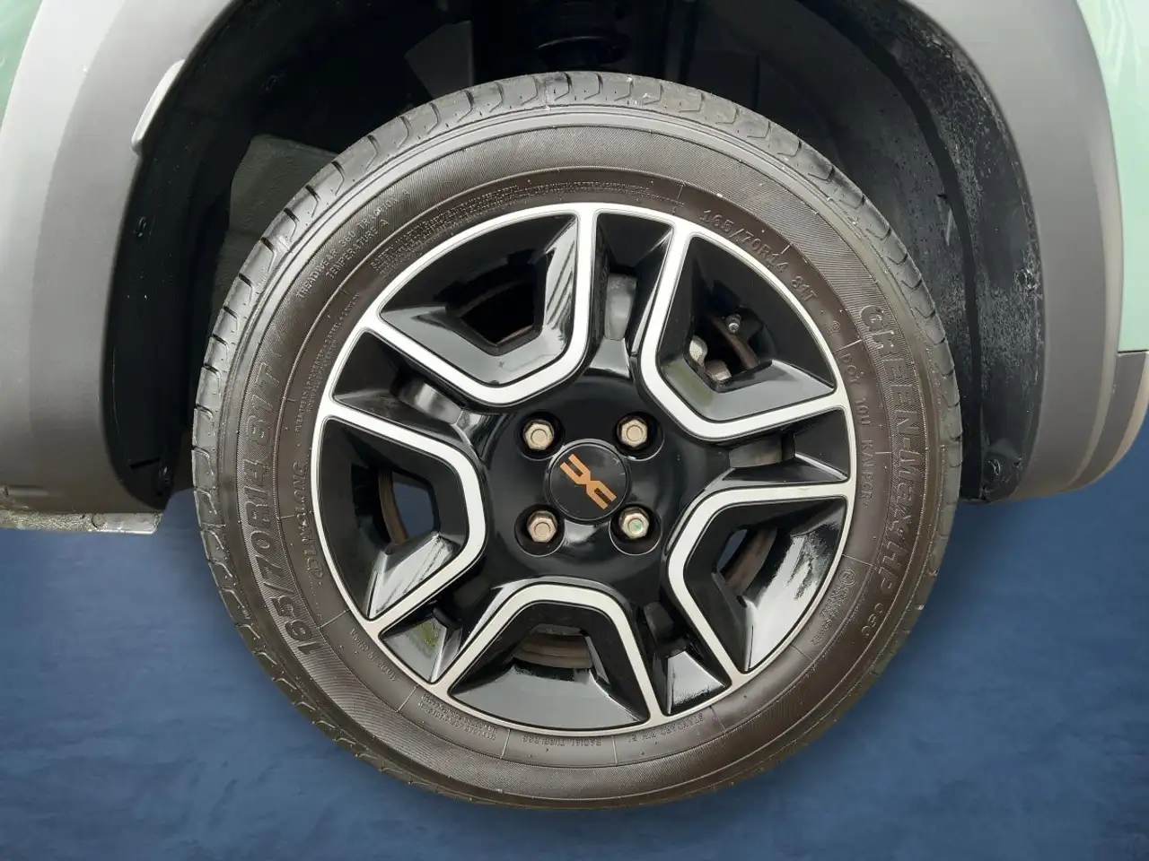 Dacia Spring Extreme 65, миниатюра 19