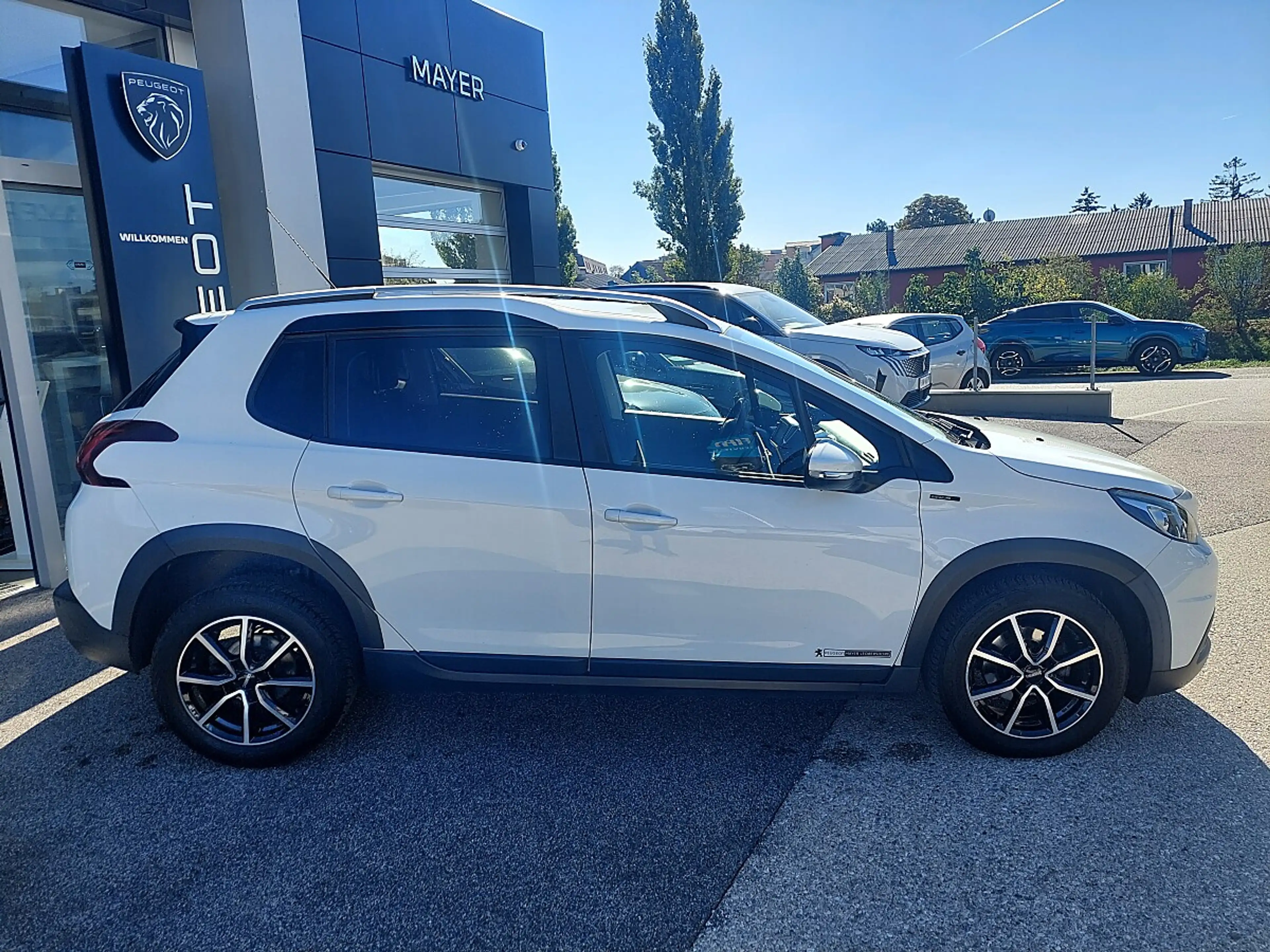 Peugeot 2008 1.5 BlueHDi 100 Signature (EURO 6d-TEMP) — photo 4