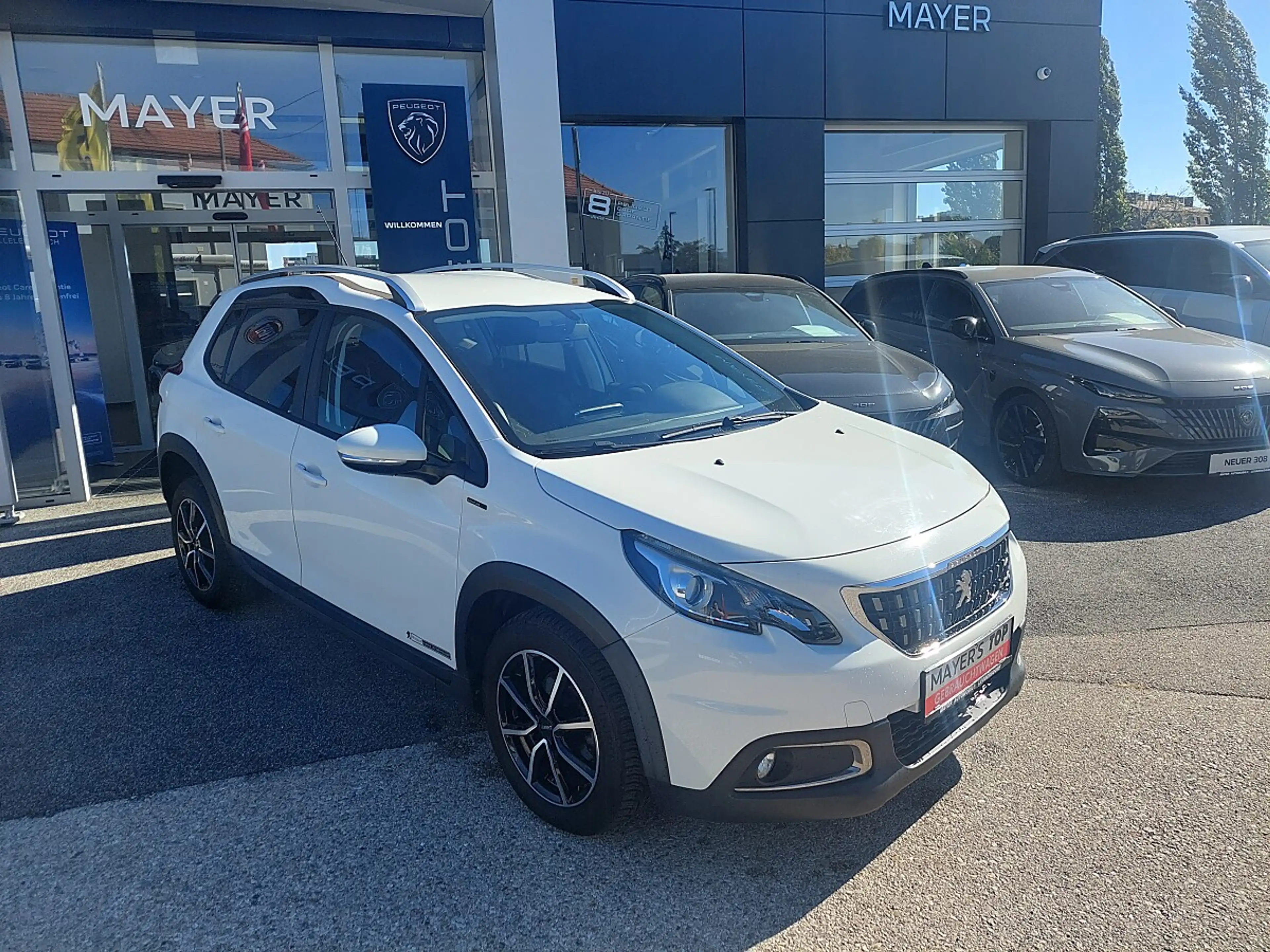 Peugeot 2008 1.5 BlueHDi 100 Signature (EURO 6d-TEMP) — photo 3