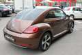 Volkswagen Maggiolino 1.2 TSI ALLSTAR SPORT 6 MARCE PER NEOPATENTATI Bronze - thumbnail 4