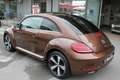Volkswagen Maggiolino 1.2 TSI ALLSTAR SPORT 6 MARCE PER NEOPATENTATI Bronze - thumbnail 6