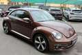 Volkswagen Maggiolino 1.2 TSI ALLSTAR SPORT 6 MARCE PER NEOPATENTATI Bronze - thumbnail 3