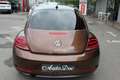 Volkswagen Maggiolino 1.2 TSI ALLSTAR SPORT 6 MARCE PER NEOPATENTATI Bronze - thumbnail 5
