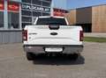 Ford F 150 Super Cab 4x4 Weiß - thumbnail 5