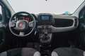 Fiat Panda 1.0 HYBRID 70CV CITY - ST Schwarz - thumbnail 3