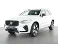 Volvo XC60 T6 Plus Dark AWD Stdhzg. 360° Cam Weiß - thumbnail 2