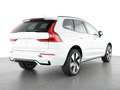 Volvo XC60 T6 Plus Dark AWD Stdhzg. 360° Cam Weiß - thumbnail 3