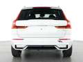 Volvo XC60 T6 Plus Dark AWD Stdhzg. 360° Cam Weiß - thumbnail 4