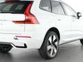 Volvo XC60 T6 Plus Dark AWD Stdhzg. 360° Cam Weiß - thumbnail 12
