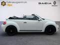 Volkswagen Beetle Cabriolet, SHZ, inkl. WR, Garantie Weiß - thumbnail 3