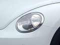 Volkswagen Beetle Cabriolet, SHZ, inkl. WR, Garantie Weiß - thumbnail 7