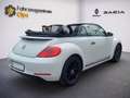 Volkswagen Beetle Cabriolet, SHZ, inkl. WR, Garantie Weiß - thumbnail 4