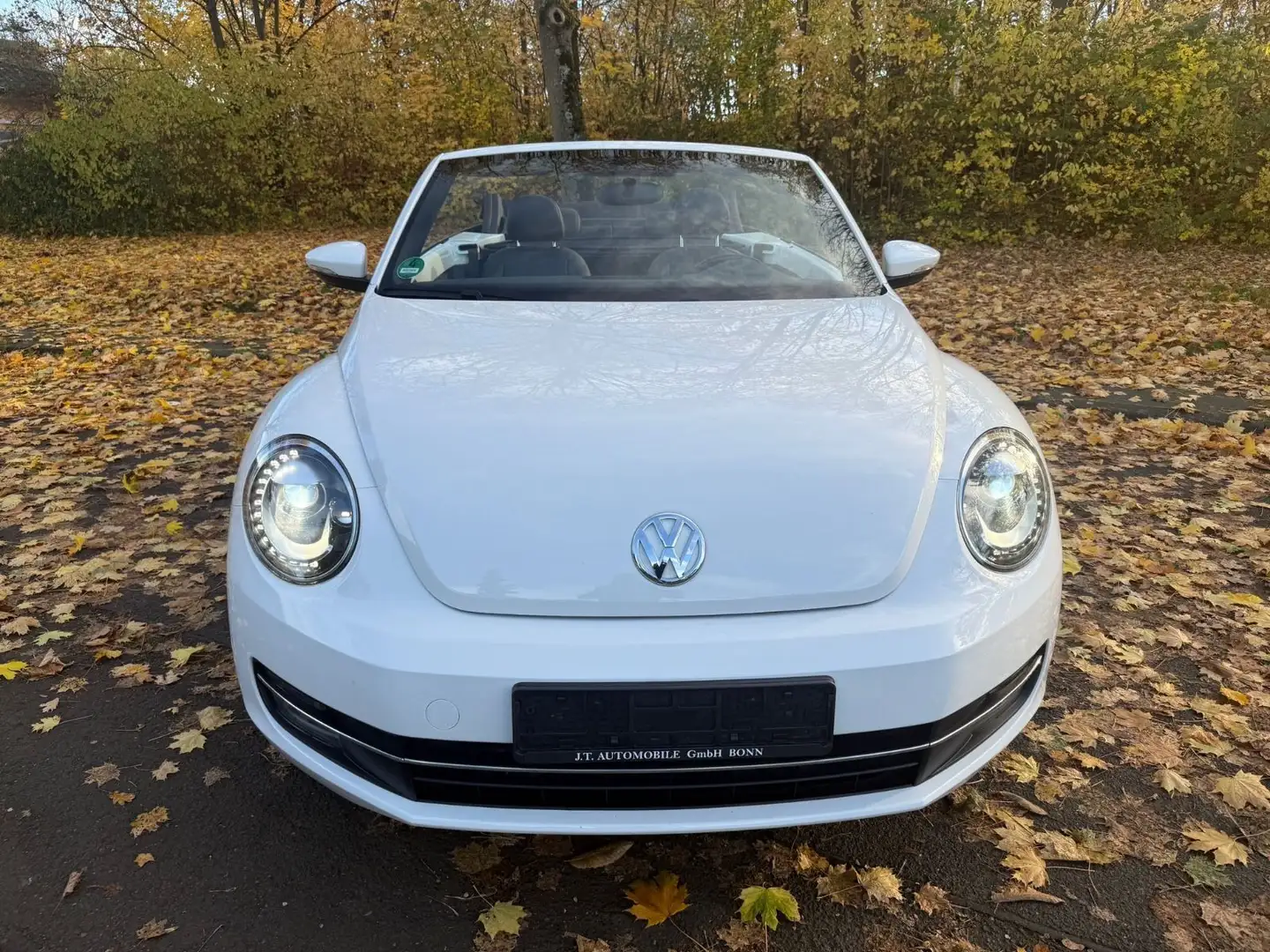 Volkswagen Beetle 1.4 TSI Exclusive Design Cabriolet,Auto Biały - 2