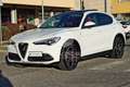 Alfa Romeo Stelvio 2.2 Turbodiesel 210 CV AT8 Q4 Veloce Tì TETTO Bianco - thumbnail 1