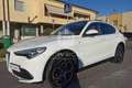 Alfa Romeo Stelvio 2.2 Turbodiesel 210 CV AT8 Q4 Veloce Tì TETTO Bianco - thumbnail 15