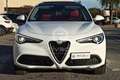 Alfa Romeo Stelvio 2.2 Turbodiesel 210 CV AT8 Q4 Veloce Tì TETTO Bianco - thumbnail 2
