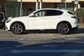 Alfa Romeo Stelvio 2.2 Turbodiesel 210 CV AT8 Q4 Veloce Tì TETTO Bianco - thumbnail 8