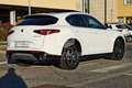 Alfa Romeo Stelvio 2.2 Turbodiesel 210 CV AT8 Q4 Veloce Tì TETTO Bianco - thumbnail 5