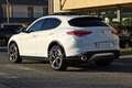Alfa Romeo Stelvio 2.2 Turbodiesel 210 CV AT8 Q4 Veloce Tì TETTO Bianco - thumbnail 7