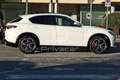 Alfa Romeo Stelvio 2.2 Turbodiesel 210 CV AT8 Q4 Veloce Tì TETTO Bianco - thumbnail 4