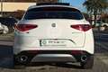 Alfa Romeo Stelvio 2.2 Turbodiesel 210 CV AT8 Q4 Veloce Tì TETTO Bianco - thumbnail 6