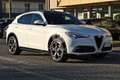 Alfa Romeo Stelvio 2.2 Turbodiesel 210 CV AT8 Q4 Veloce Tì TETTO Bianco - thumbnail 3