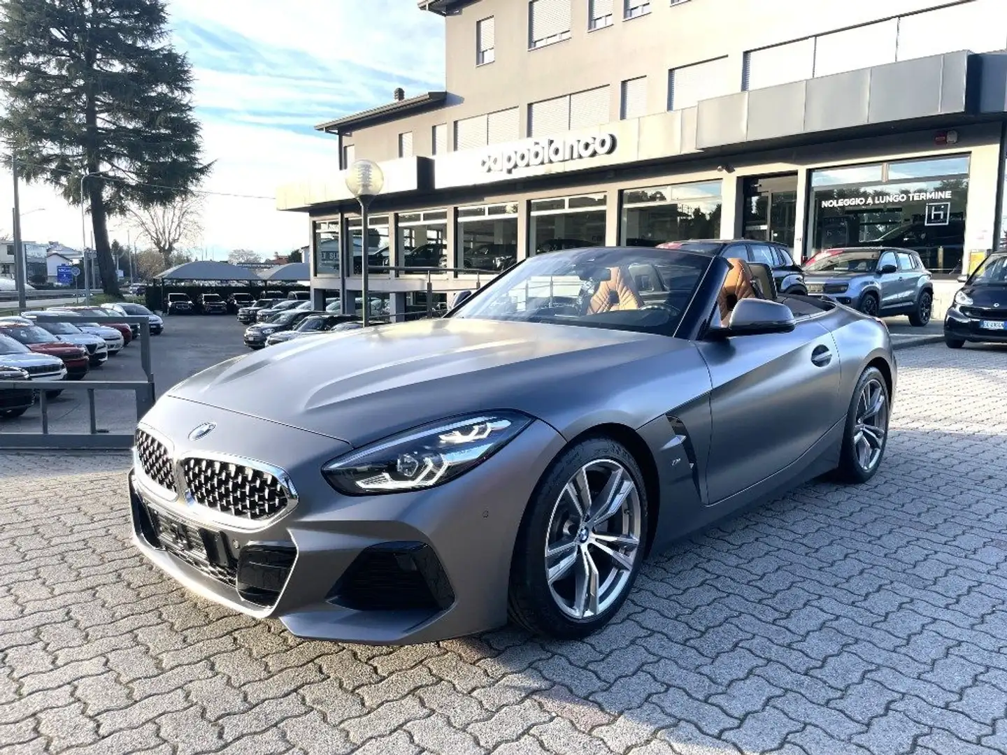 BMW Z4 sDrive20i Msport FROZEN GREY OPACO+TELECAMERA Grigio - 1