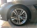 BMW Z4 sDrive20i Msport FROZEN GREY OPACO+TELECAMERA Grigio - thumbnail 12