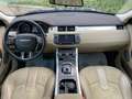 Land Rover Range Rover Evoque Range Rover Evoque 5p 2.2 td4 Pure Tech 150cv auto Verde - thumbnail 9