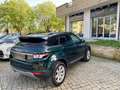 Land Rover Range Rover Evoque Range Rover Evoque 5p 2.2 td4 Pure Tech 150cv auto Verde - thumbnail 6