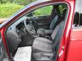 Volkswagen T-Roc R-Line 1,5 TSI DSG LED PDC KAMERA AHZ LED Rot - thumbnail 14