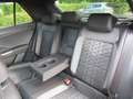 Volkswagen T-Roc R-Line 1,5 TSI DSG LED PDC KAMERA AHZ LED Rot - thumbnail 24