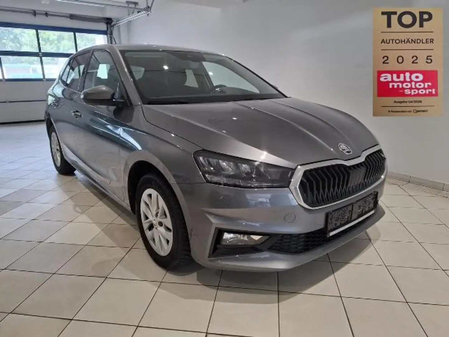 Skoda Fabia DSG Top Selection Garantie Grigio - 1