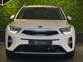 Kia Stonic 1.0 T-GDi MHEV EcoDynamics+ |BOMVOL|CAMERA|VEILIGH Wit - thumbnail 12